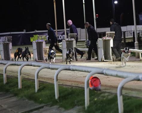 Brough Park Dog Track .